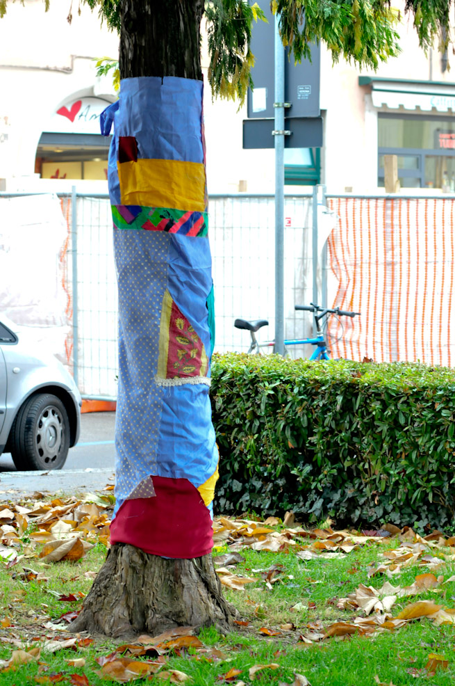 dsc9761.jpg