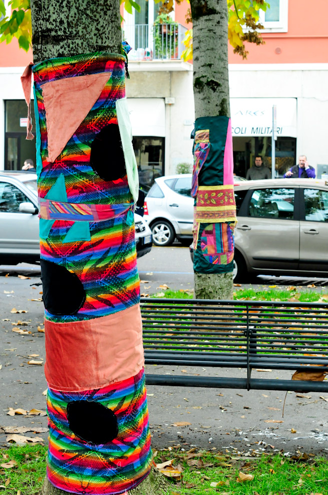 dsc9770.jpg