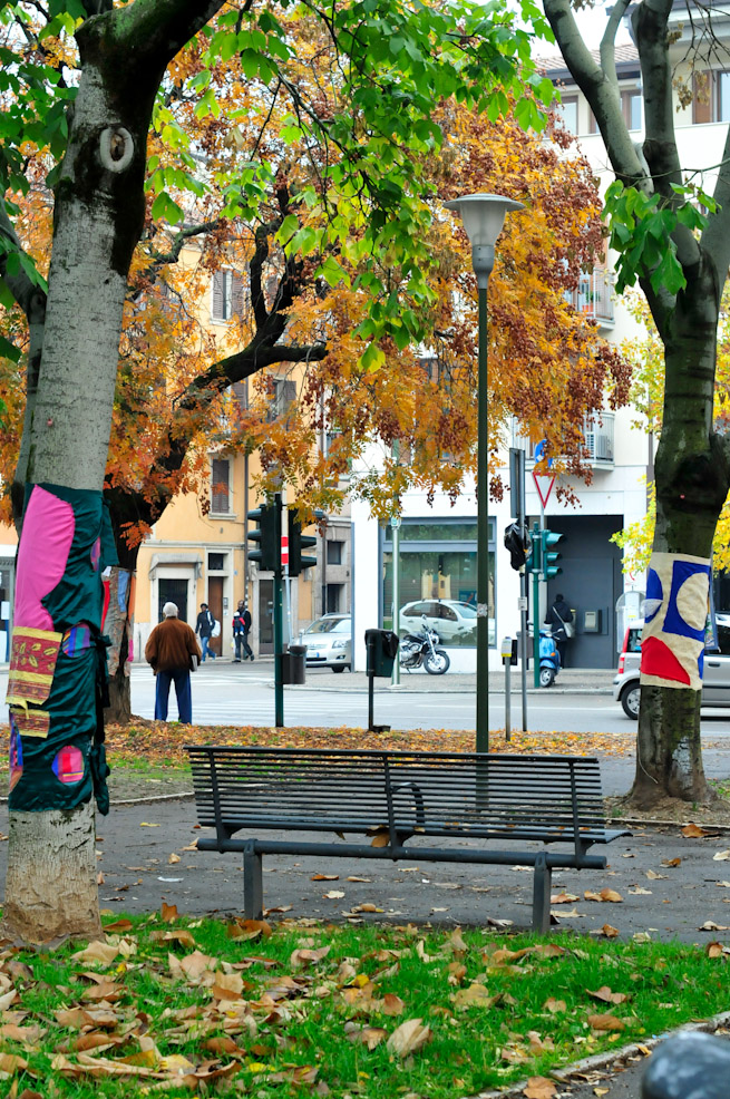 dsc9777.jpg