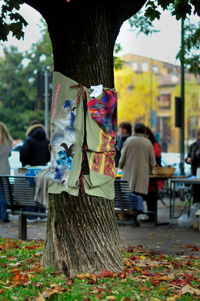 dsc9783.jpg