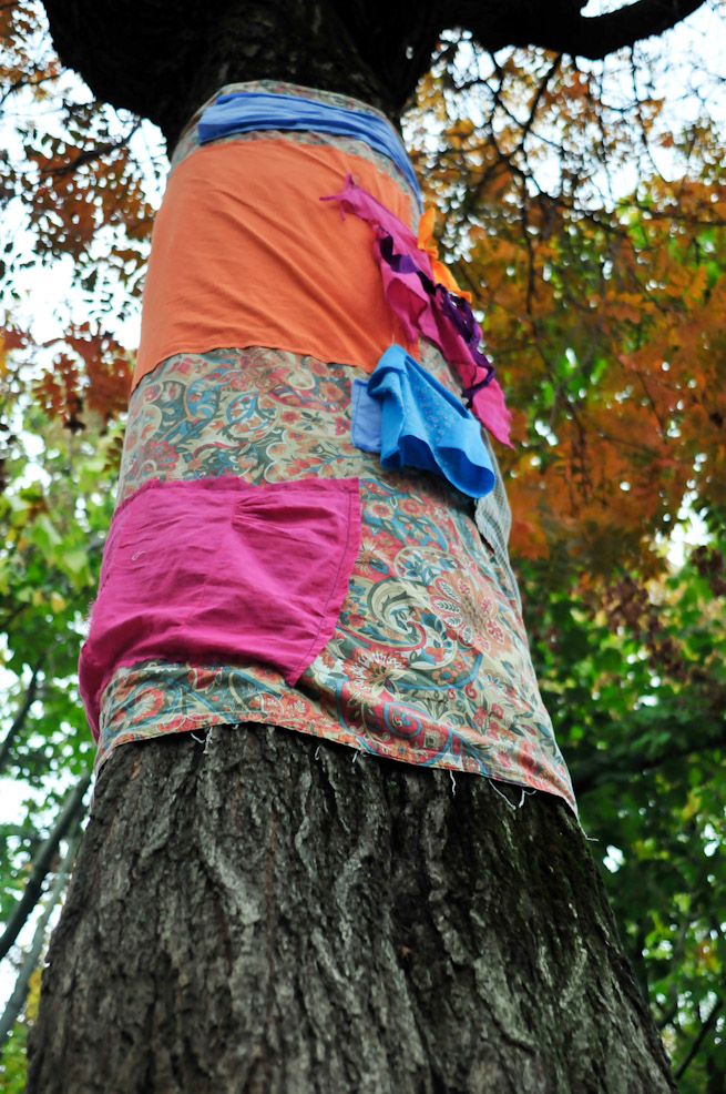 dsc9787.jpg