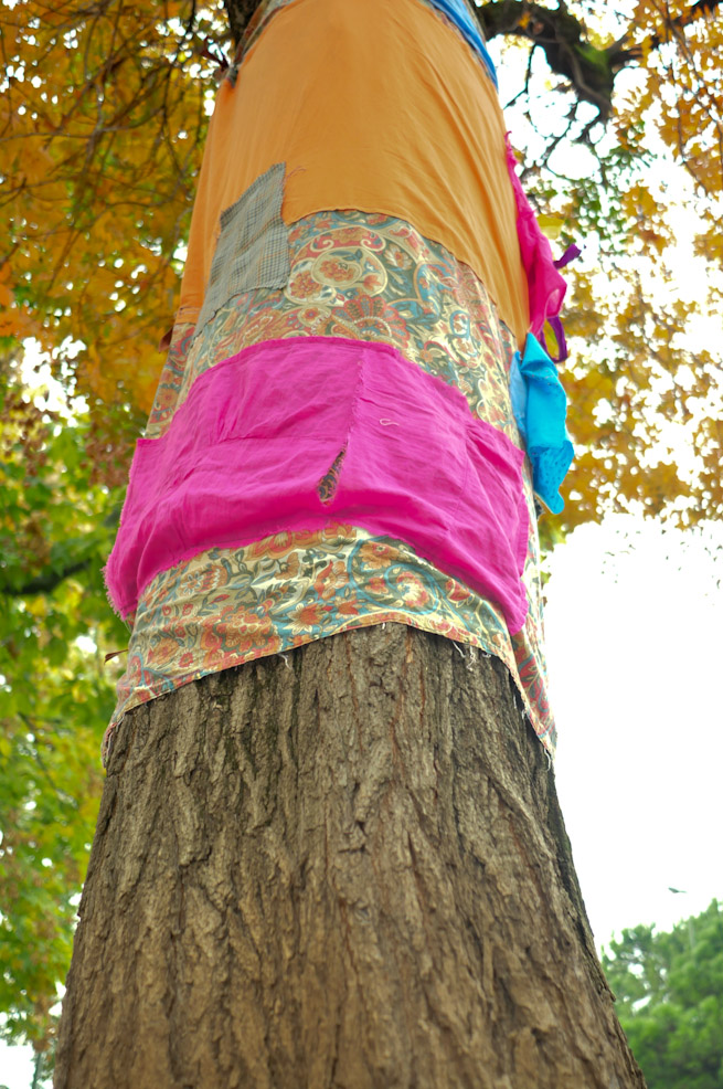 dsc9788.jpg
