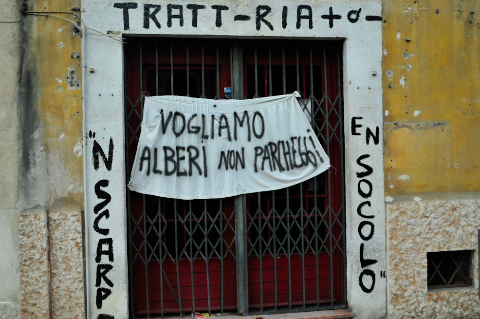 dsc9803.jpg