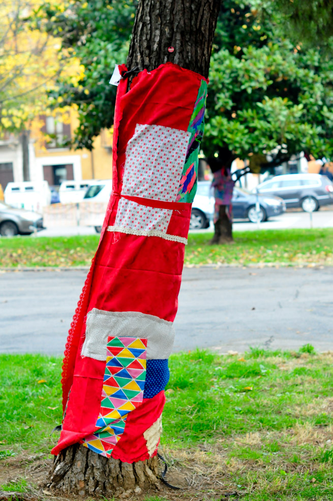 dsc9808.jpg