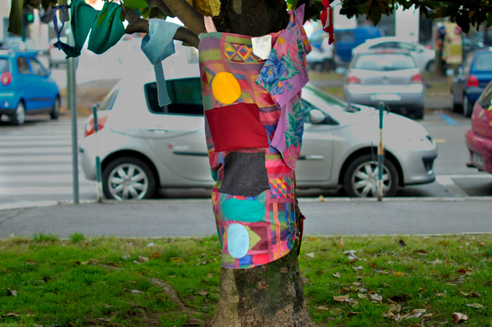 dsc9817.jpg