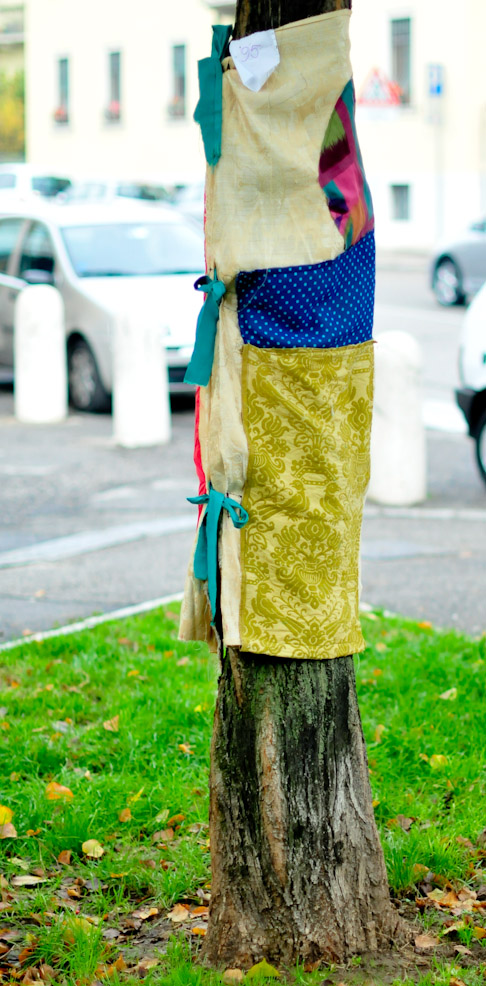 dsc9819.jpg