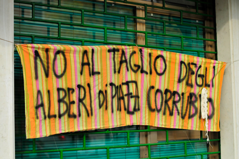 dsc9821.jpg