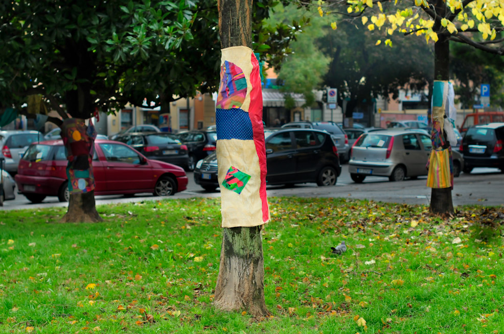 dsc9822.jpg