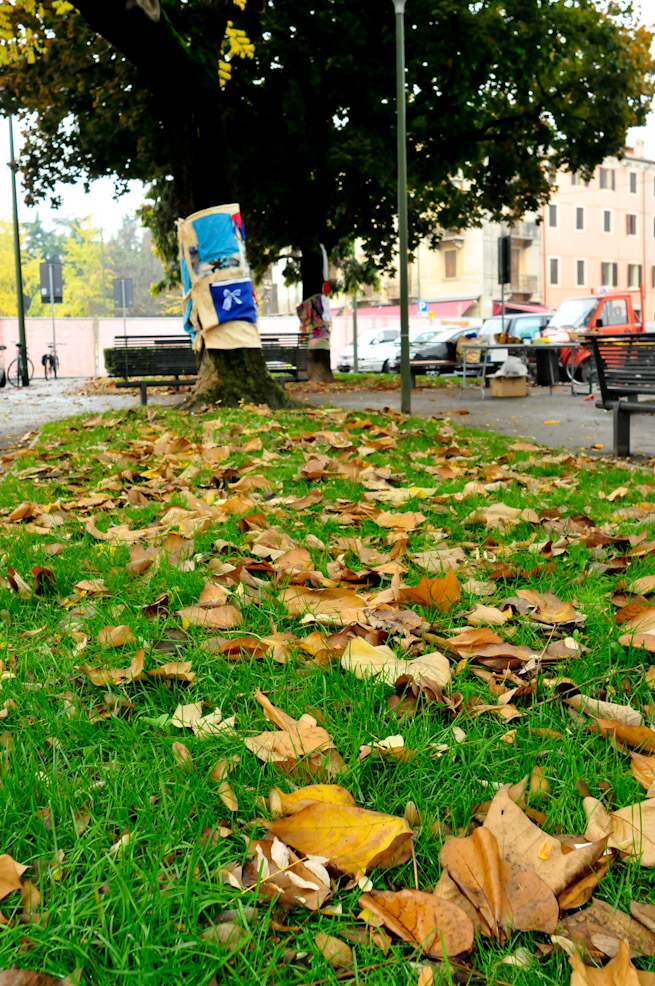 dsc9849.jpg