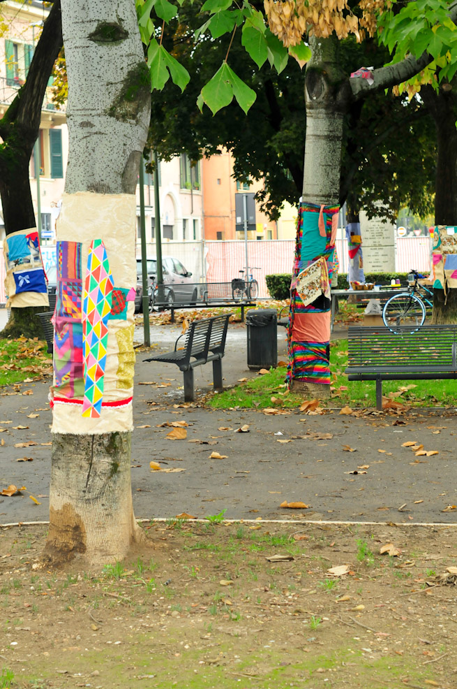 dsc9854.jpg