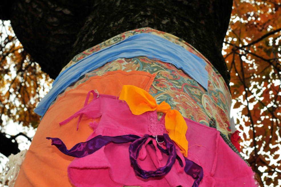 dsc9865.jpg