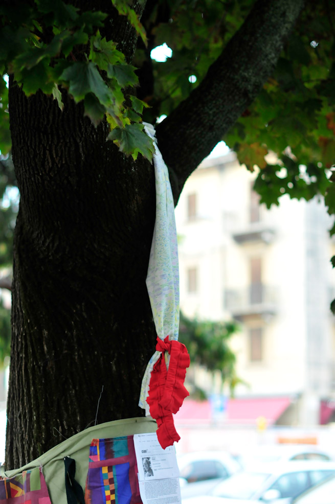 dsc9873.jpg
