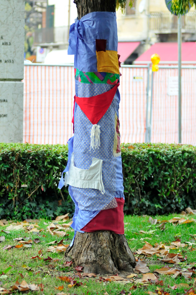 dsc9878.jpg